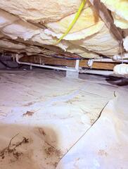 Crawlspace Encapsulation in Rocky Point, NC