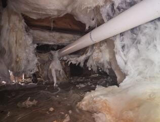 Crawl Space Encapsulation in Oriental, NC