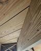 Soda Blasting for Mold Removal in Dunn, NC