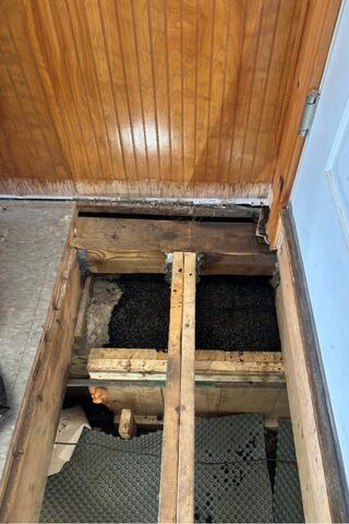 Crawl Space Repair and Mold Removal in West Rupert, VT | Matt Clark's Northern Basement Systems - Before Photo