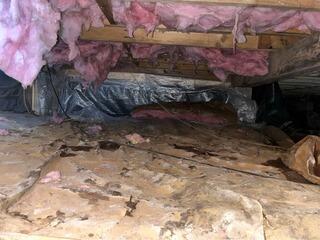 Crawlspace Repair in St. Albans City, Vermont, with Matt Clark's Northern Basement Systems.