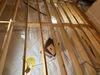 Crawl Space Encapsulation in Cambridgeport, VT | Matt Clark's Northern Basement Systems