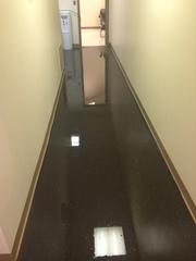 Flood Clean-up in Bridgeport, CT