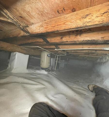 Crawl Space Encapsulation with Mold Treatment and SmartSump® in Hackensack, MN