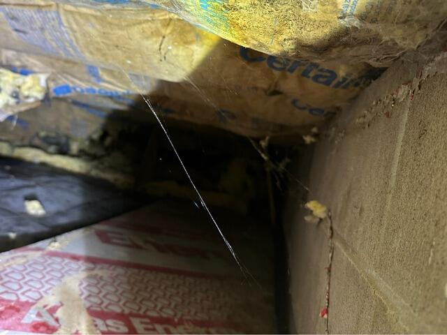 Foundation Wall Stabilization with PowerBrace™ System at Family Cabin in Siren, WI - Before Photo