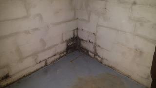 WaterGuard® Restored Leaky Basement in Duluth, MN