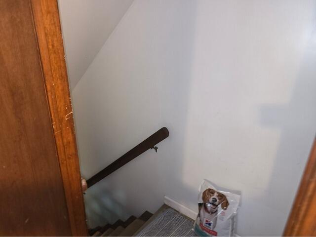 Dense Packing Interior Walls in a Home in Manchester, CT - Before Photo
