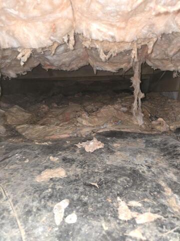 Encapsulating a Crawl Space in West Suffield, CT - Before Photo