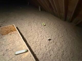 Insulating an Attic in Shrewsbury, MA