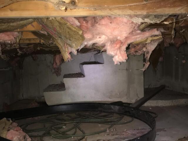 Crawl Space insulation Cincinnati, OH - Before Photo