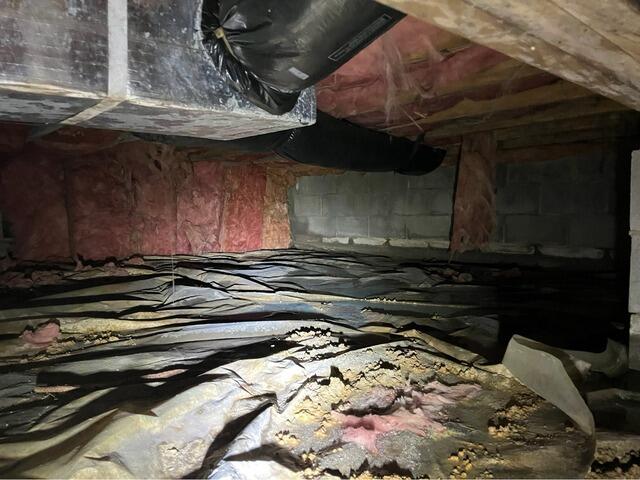 Crawl Space Repair in Tollesboro, Kentucky