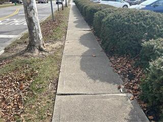Concrete Sidewalk Repair for Elementary School in Madeira, Ohio