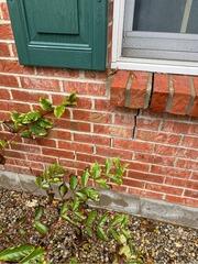 Foundation Repair in Russellville, Ohio