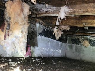 Crawl Space Repair Company in Hamilton, Ohio