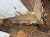 Foundation Repair Company in Covington, Kentucky