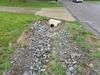 Driveway Repair Company in Milford, Ohio