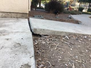 Concrete Lifting Of A Walkway in Oakland, CA