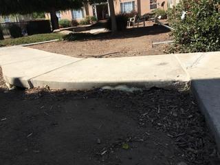 Walkway Concrete Lifting in Oakland