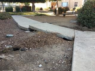 Walkway Concrete Lifting in Oakland