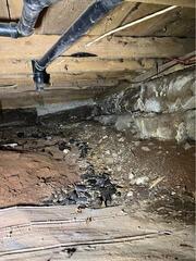 Crawlspace Repair- Bayfield, NB