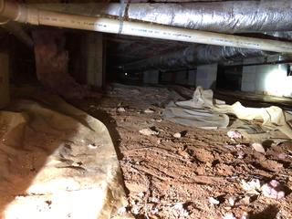 Wet and Moldy Crawlspace Repair