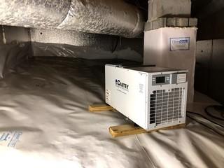 Wet, Moldy Crawlspace Repaired in Evans GA