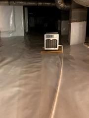 Mold Covered Crawl Space in Columbia SC