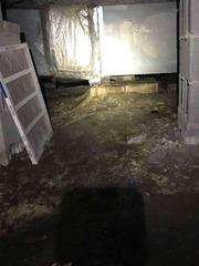 Mold Covered Crawl Space in Columbia SC