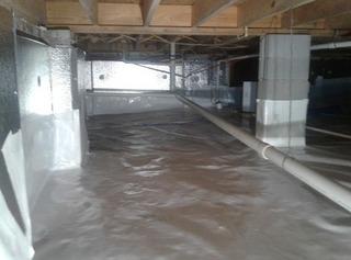 Mold Covered Crawl Space Repaired in Irmo SC