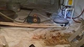 Flooding, Moldy Basement to Clean Space in Spartanburg SC