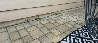 Interior and Exterior Stem Wall Foundation Repair in Escondido, CA