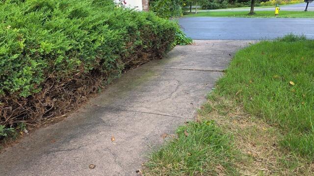 Concrete Walkway Repair in Liverpool, NY - Before Photo