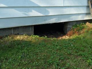 Crawl Space Repair  Baldwinsville, NY