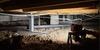 Crawlspace Support Jack Installation - Lakeside, AZ | SmartJack® System