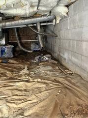 Crawl Space Encapsulation in Versailles, Kentucky