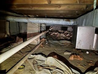 Crawl Space Repair in Richmond, Kentucky
