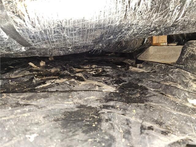 Crawl Space Encapsulation in Emmett, ID - Before Photo