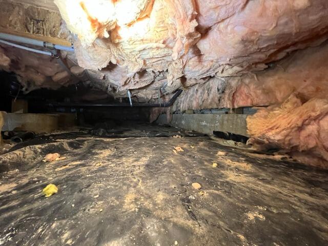 Crawl Space Encapsulation in Nampa, ID - Before Photo