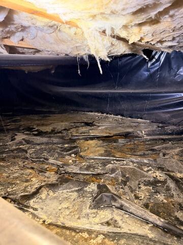 Musty, Swampy Crawl Space in Nampa, ID - Before Photo