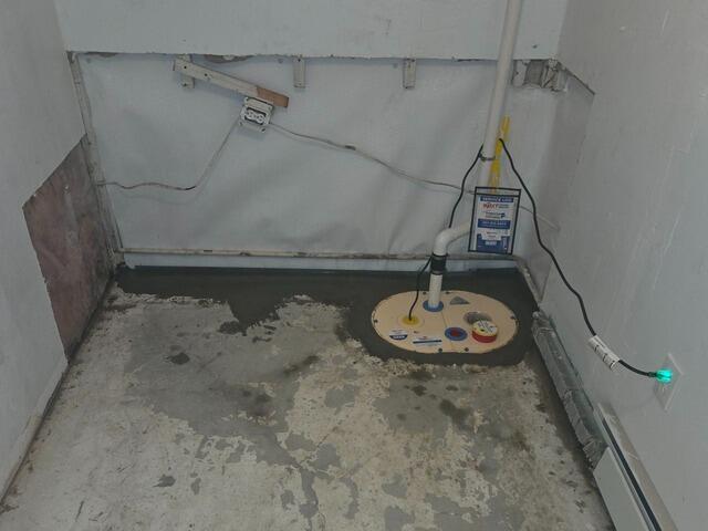 Peeling Wet Basement in Anchorage, AK