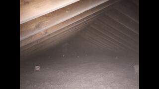 Blown In TruSoft Insulation in an Endicott, NY Attic Flat
