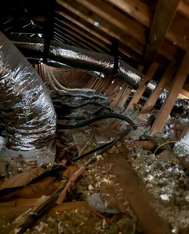 Vacuum out old Insulation and Replace