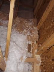 Attic Spray Form Insulation