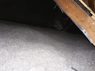 Attic Insulation in Chadbourn, NC!