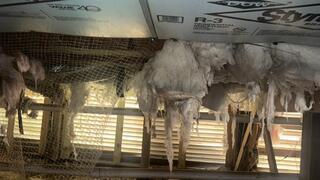 Spray Foam Crawlspace Insulation in Pawleys Island