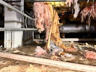 Crawlspace Insulation in Charleston, SC
