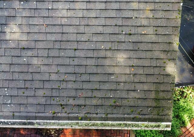 Roof Replacement in North Franklin, CT - Before Photo