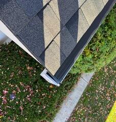 RainDrop Gutter Guard in Shenorock, NY