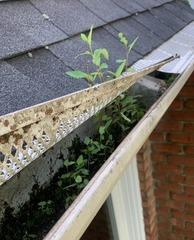 Industry, PA Failed Gutter Screen