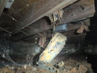 Remediate mold in crawl space of Mingo Junction OH home.